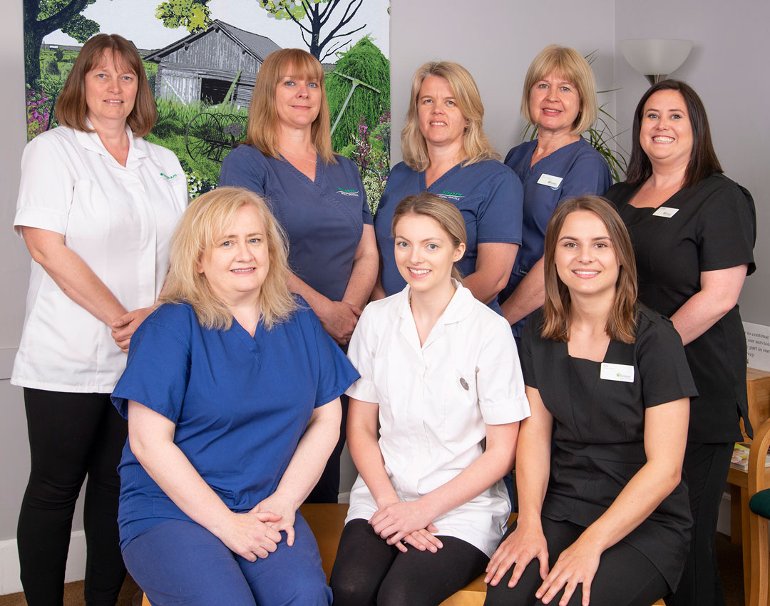 Wingham Dental Practice - Find out about us